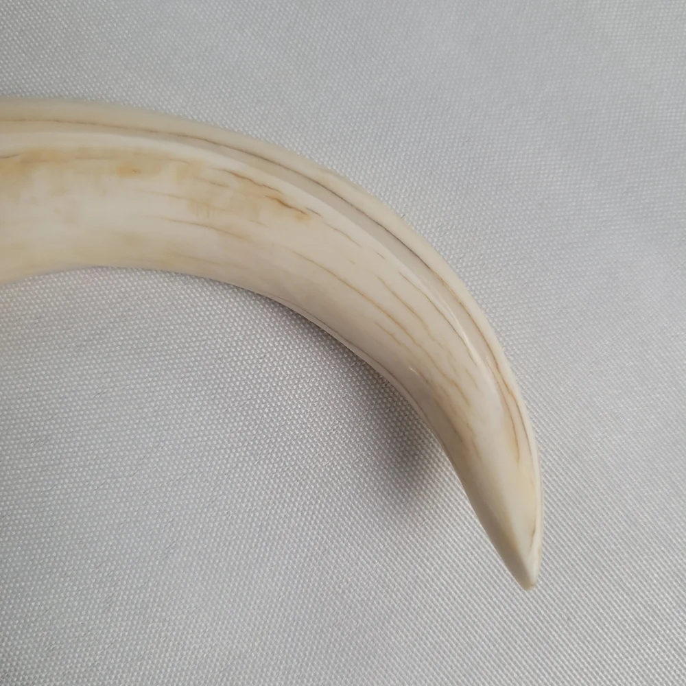 Vintage Hand Carved Warthog Tusk Brass Bottle Opener